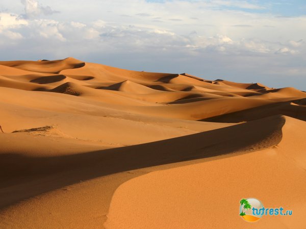 Пустыня Каракумы в Туркменистане