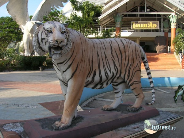 Sriratcha Tiger Zoo – Тигриный зоопарк в Паттайя